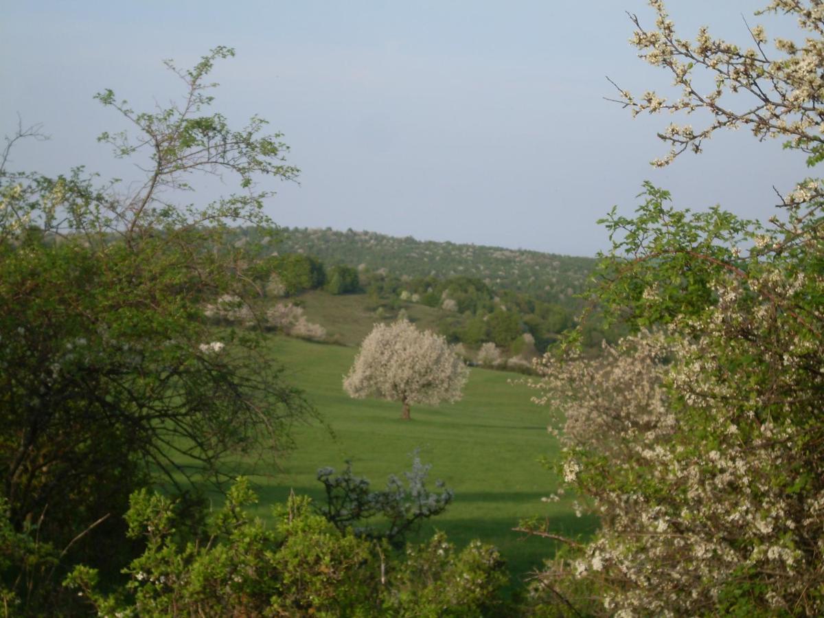 Ubytovanie Na Vcelej Farme Polichno Exterior foto